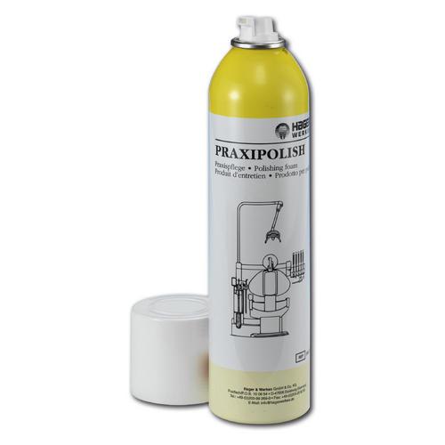 Praxipolish Plus, ReinigungsschaumSpraydose, 400ml