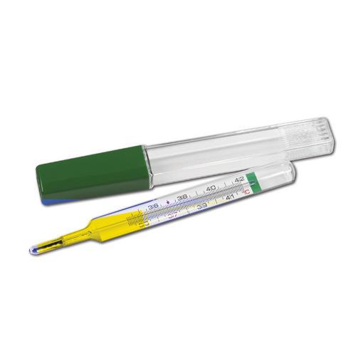 Fieberthermometer quecks.-frei mit Hülse Fieberthermometer quecks.-frei mit Hülse