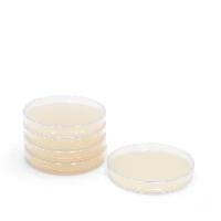 Servoplate Candida Elektiv Agar (o. Abb.) Servoplate Candida Elektiv Agar (o. Abb.)