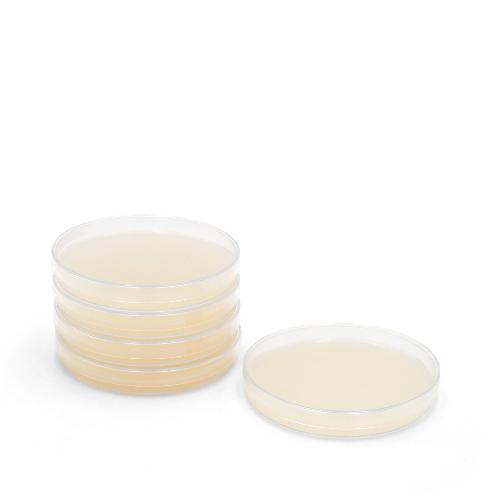Servoplate Selektiv Agar pathogene Pilze, 4 x 5 Stück