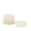Servoplate Selektiv Agar pathogene Pilze, 4 x 5 Stück